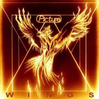 Виниловая пластинка Picture / Wings (1LP)